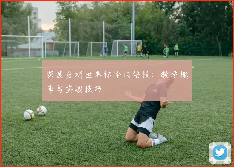 深度分析世界杯冷门倍投：数学概率与实战技巧