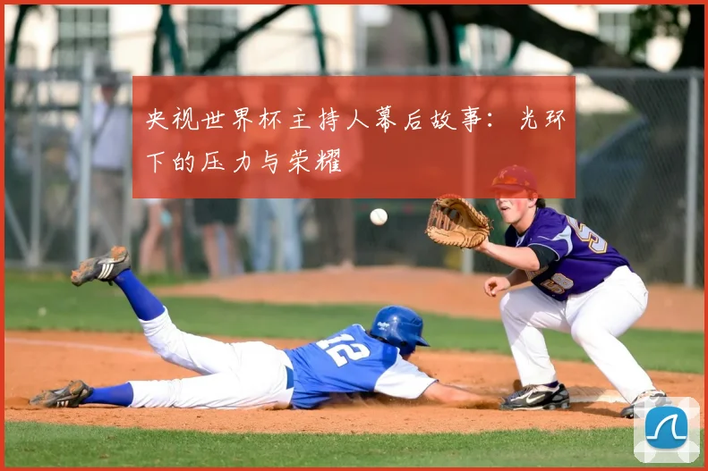 央视世界杯主持人幕后故事：光环下的压力与荣耀