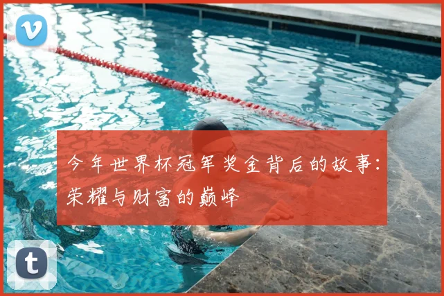 今年世界杯冠军奖金背后的故事：荣耀与财富的巅峰