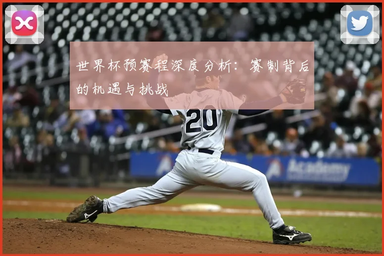 世界杯预赛程深度分析：赛制背后的机遇与挑战