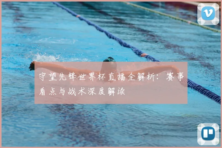 守望先锋世界杯直播全解析：赛事看点与战术深度解读