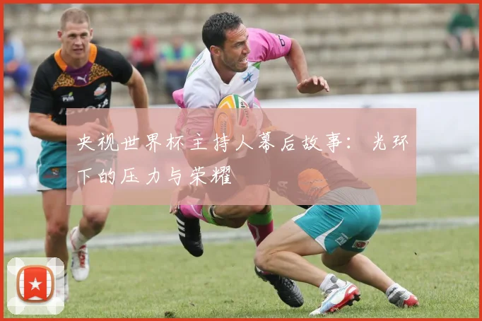 央视世界杯主持人幕后故事：光环下的压力与荣耀