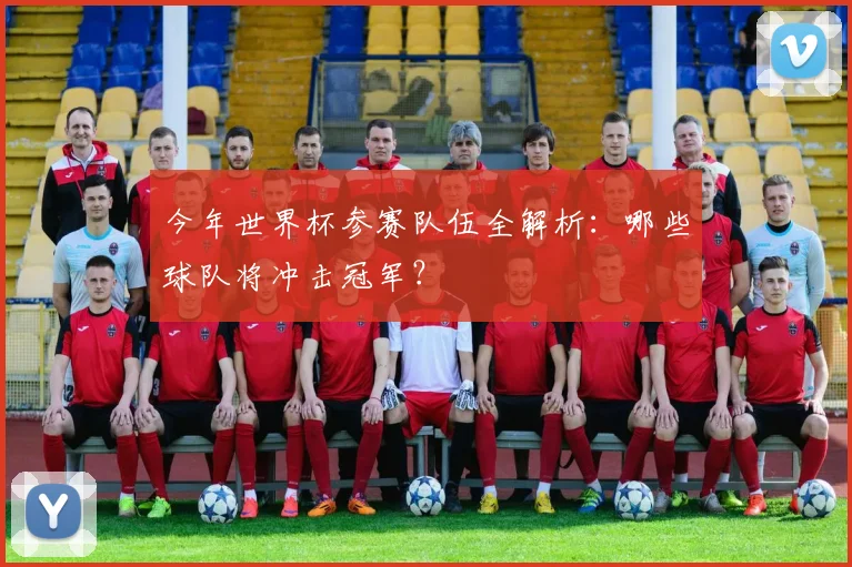 今年世界杯参赛队伍全解析：哪些球队将冲击冠军？