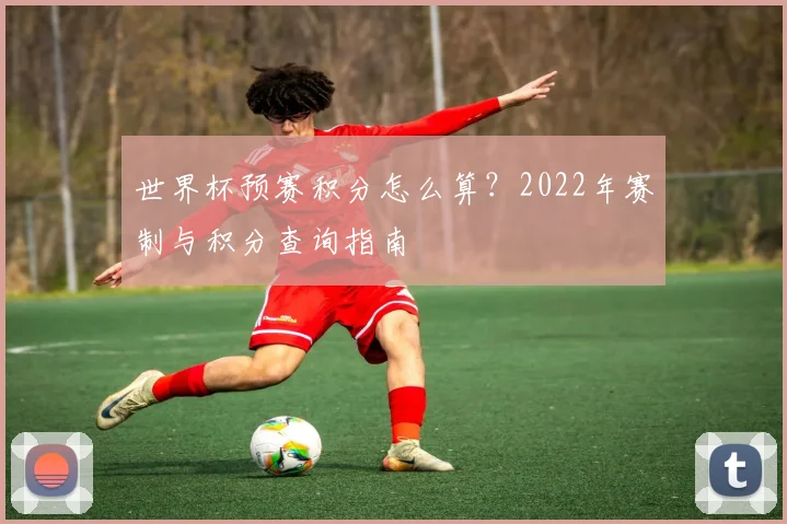 世界杯预赛积分怎么算?2022年赛制与积分查询指南