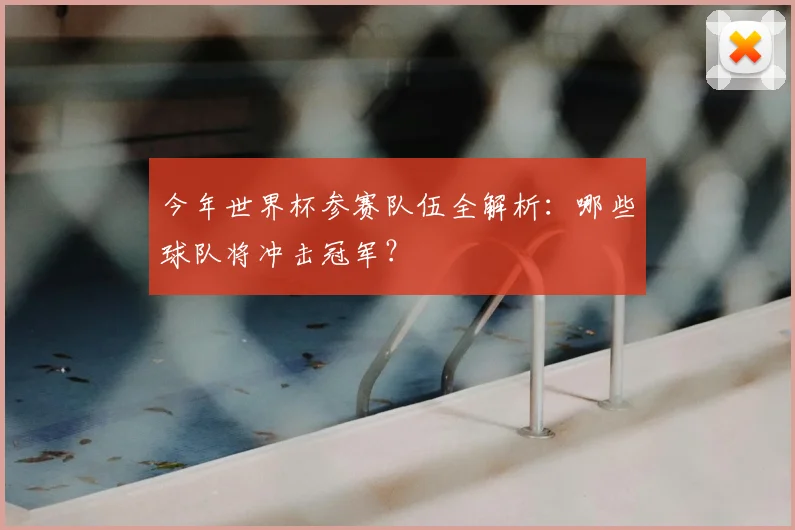 今年世界杯参赛队伍全解析：哪些球队将冲击冠军？