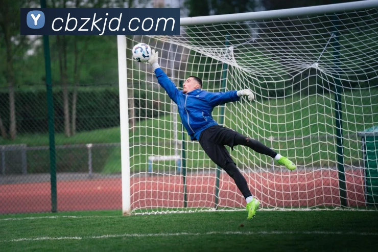 安博登录入口网页版平台生态图